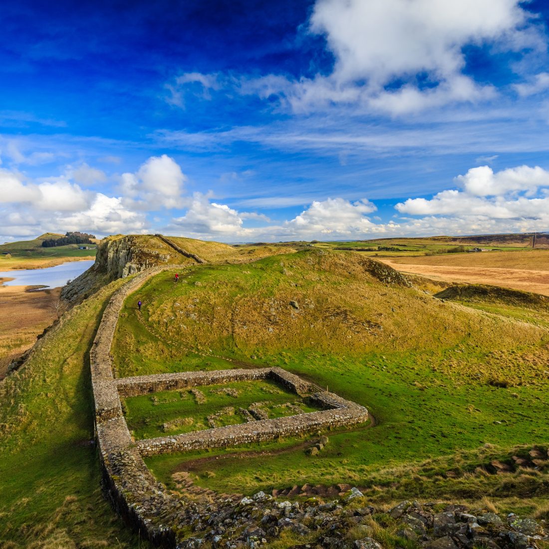 Green fields & walls